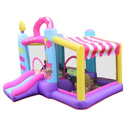 Doctor Dolphin Bouncer incl. 350W blower